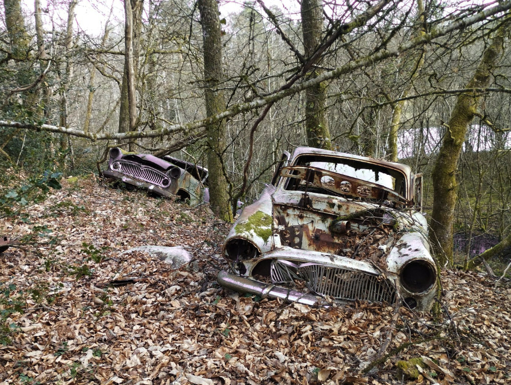 Simca dans les bois