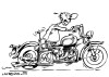 Motocyclette affriolante