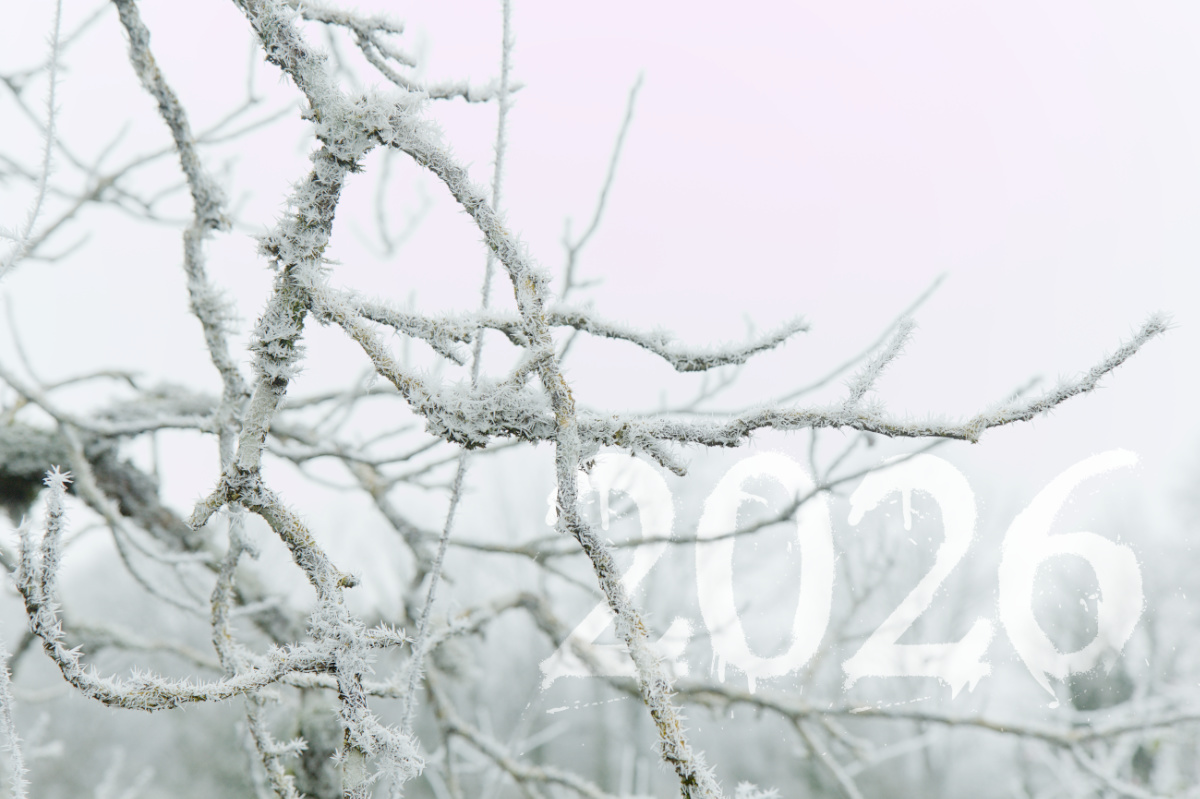 Premier janvier 2026