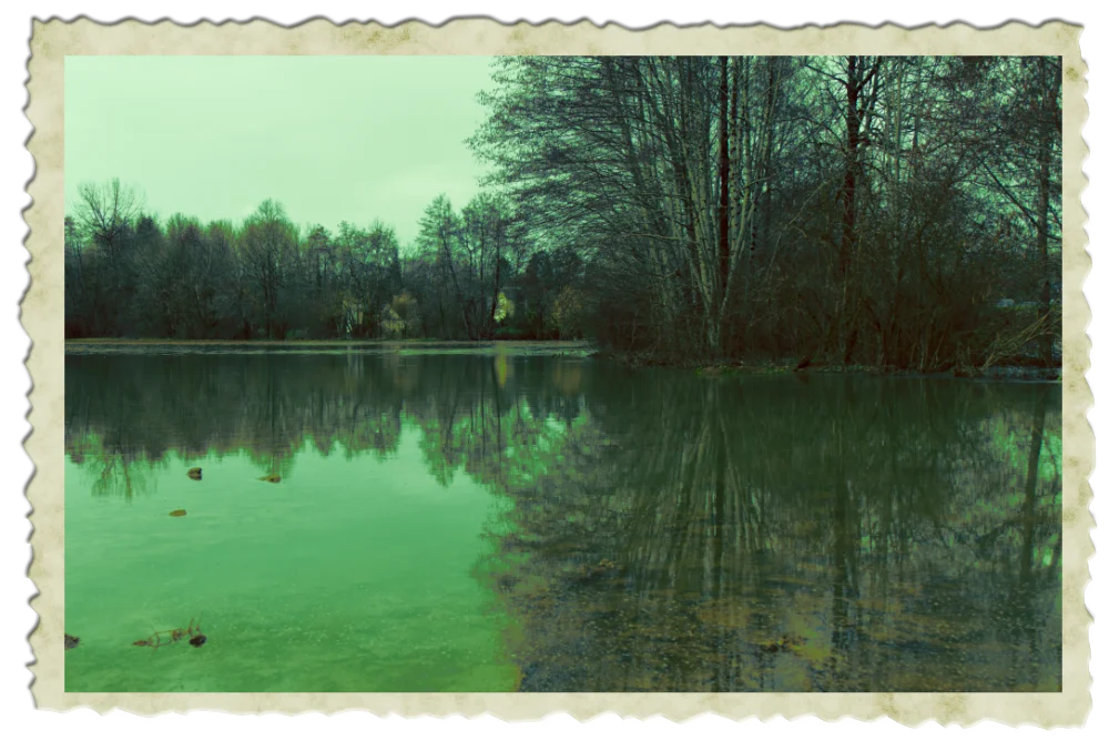 Photographie d'un champ inondé à la Bachellerie en Dordogne