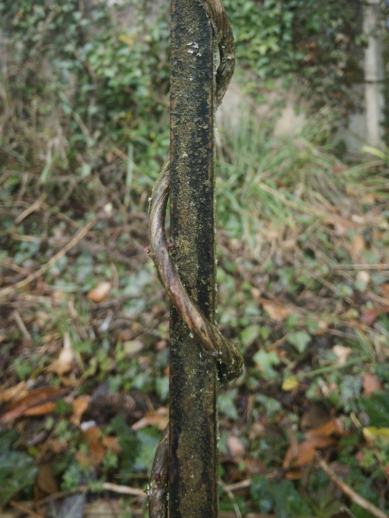 barreau et tige